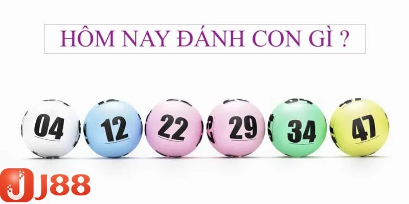 Tìm hiểu những con số khi đề về 49 hôm sau đánh con gì Tìm hiểu những con số khi đề về 49 hôm sau đánh con gì
